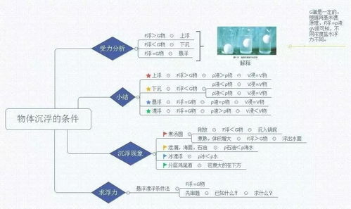 查重法计算浮力与其他方法的比较