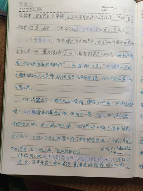 第一次写的小说,第三集 手写,字丑