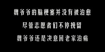 为照顾流浪狗,他拾过荒吃过苦 他是个平凡的老人,却有不平凡的灵魂 