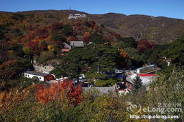 京郊踏青登山好去处 北京香山 