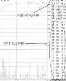 股票购买时的委比和委差，外盘和内盘分别是什么意思？