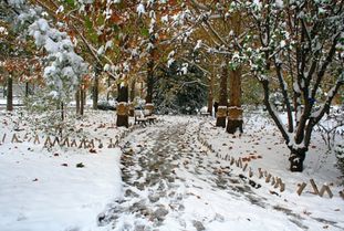 为啥在雪地上撒盐雪会融化 