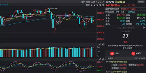 10月19日龙头固态电池股票排名前十：赛力斯股价下跌7.37%