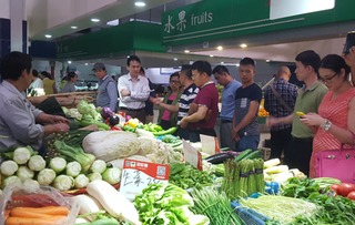 南宁市领导考察上海菜市场,食品溯源体系获关注