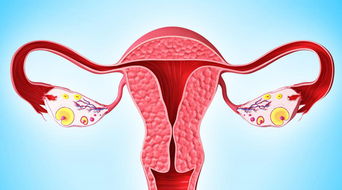 卵巢功能不好的高龄女性做试管还有希望怀孕吗？