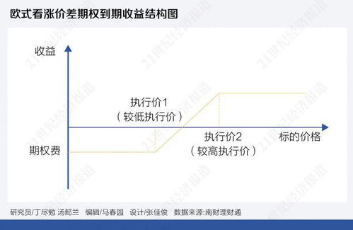 看涨期权看跌期权的发行方购买方对于该期权的公允价值变动的会计处理