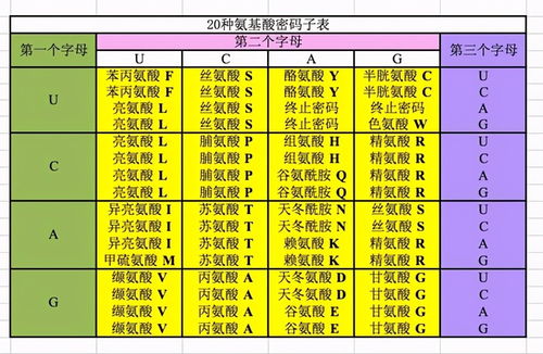 究竟怎么算 活着 如果能繁殖才算生命,难道骡子是死的