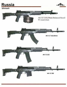 预算不足选AK 俄军选用AK 103作为新制式步枪