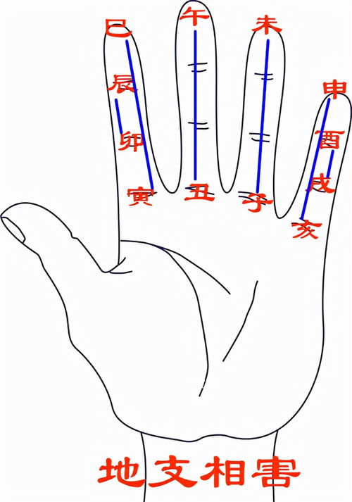 地支合冲刑害一览表中刑害是啥意思(地支合冲刑害一览表手掌图)