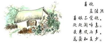 为古诗 春晓 配一幅画 