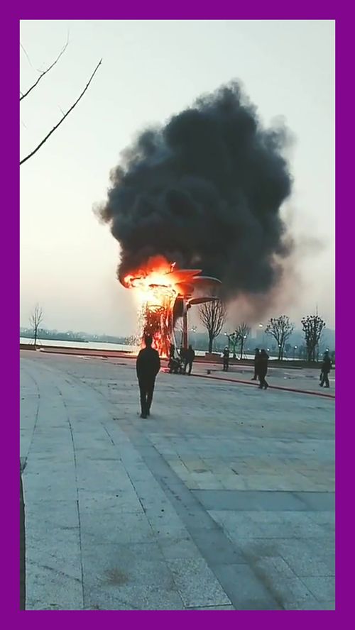 这是怎么回事 怎么就突然火了呢 