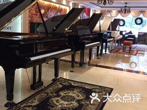 刘哲钢琴艺术培训中心课程 价格 简介 怎么样 海口学习培训 