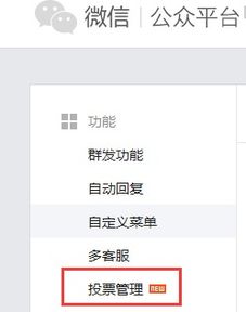 微信公众号怎么使用投票功能？