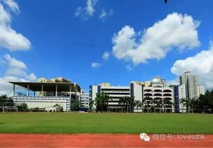 深圳贵族学校都在这啦 含小学 中学 大学