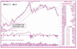 期货指标中哪个最为重要？为什么?