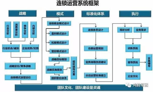 企业组织结构体验心得范文  如何提高课堂组织能力？