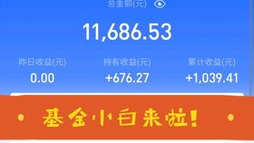 新手怎么买基金，才赚钱.一个月点投三百.投五年