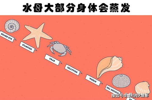 冷知识插图 许多学霸也没有真正听说过的7个冷知识