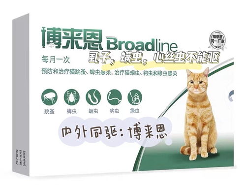 七类养猫家庭常备药品,铲屎官们买全了吗