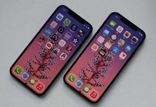 网友对iPhone12灵魂拷问,以下四个功能能不能增加一下