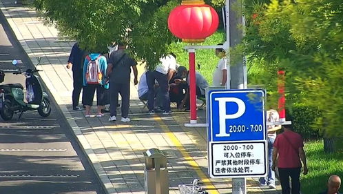 冒充 大师 怀柔街头摆摊算命,骗了40余人 12人归案