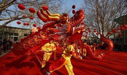 中国本土只有老虎没有狮子,为何庆祝节日要舞狮,而不是老虎