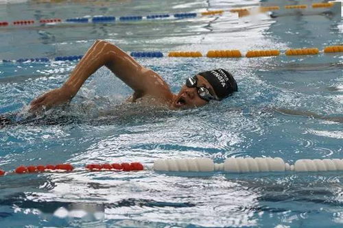 游泳技巧丨自由泳划臂,上身体力量应该怎么用