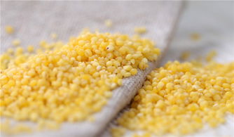 栗米的功效与作用及食用方法,小米的功效与作用