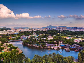 发现龙华之美 龙华区艺术乡村山水田园休闲游,你要的网红旅游拍照的打卡点,这里都有