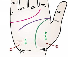 手上的 纹 和 丘 代表一个人的命运吗