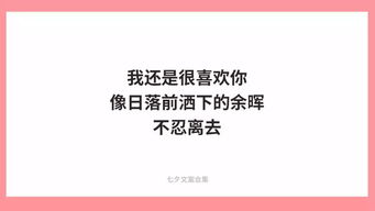 表白情话文案