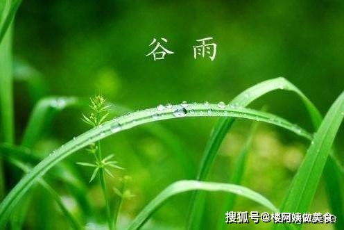 谷雨十几天后,春季就过完了,这几种食物错过可惜,营养又美味