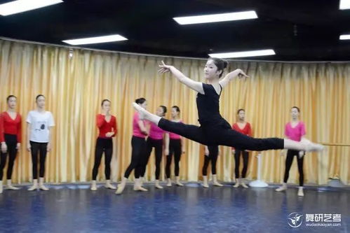 北京舞蹈学院高教名单