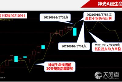 山东神光咨询有限责任公司，要出国留学,经国家授权的较好的中介机构有哪些