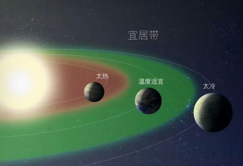 金星开窝是什么样