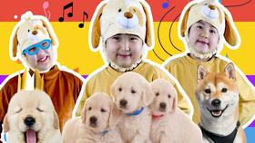 经典旋律英文儿歌 有一只可爱的小狗名字叫 Bingo 宾果