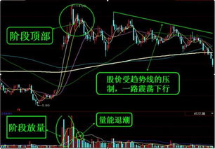 阶段放量中的参数怎么解释