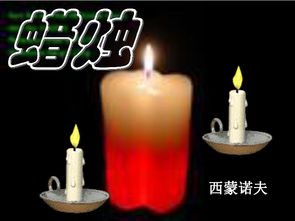 浙江省海盐县武原中学八年级语文人教版上册1 3蜡烛课件 共31张PPT 