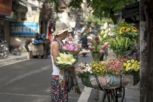 合肥市鲜花店（合肥市鲜花店电话号码