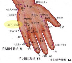 中医经络穴位巧记方法与诀窍