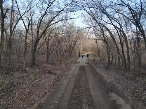 为锻炼身体,拼了 一月内爬乌鲁木齐五座山,登高望远感受美好