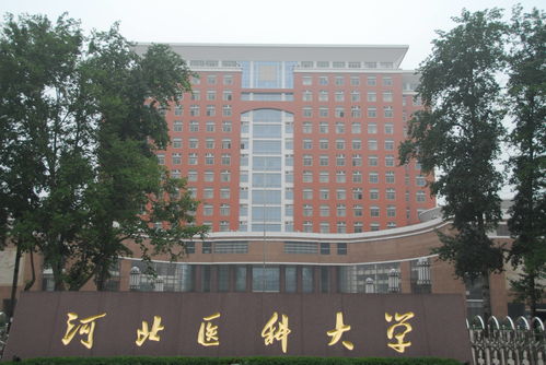 400-500分上的医科大学