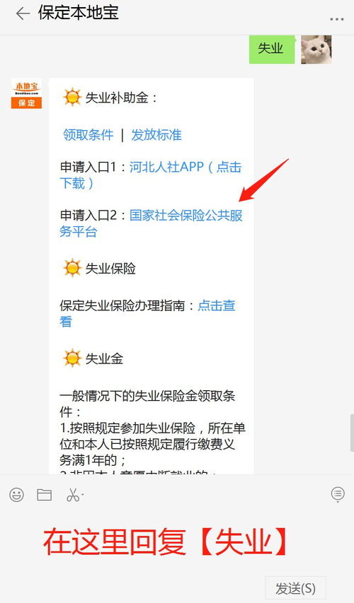保定失业险怎么领取(保定失业保险金领取资料)