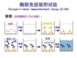 济南迪安医学诊断中心怎么样