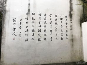 花港观鱼游记作文