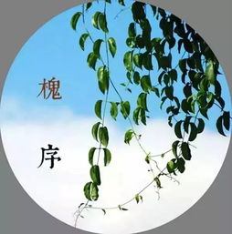 文史丨九月称作 季秋 古代十二个月的别称,太美了