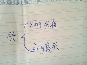 xing兴,组词,多音字 