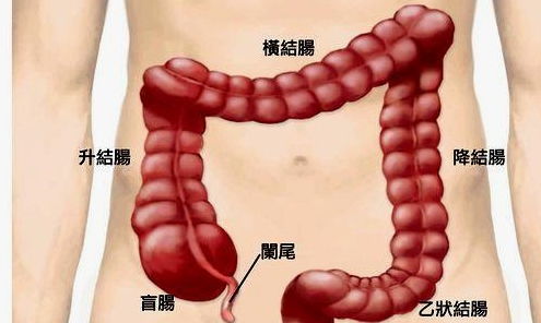 一吃完饭就想大便 别不当回事 你可能已被顽疾缠身