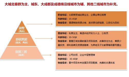 住宅项目产品定位及营销策略研究 114页