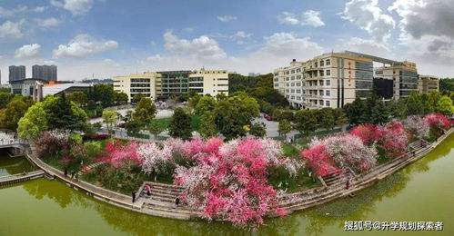 三峡大学 这所非省会城市大学,曾属于国家电网,每年入选国家电网人数众多